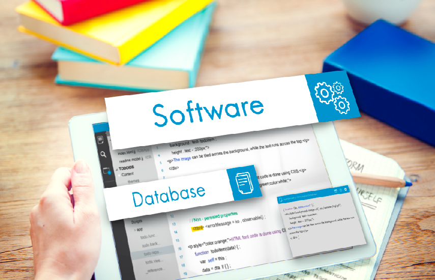 Software Development